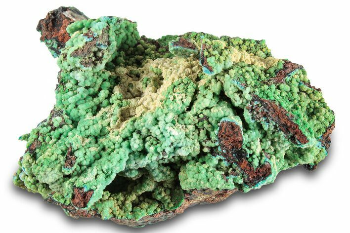 Striking Green Conichalcite on Chrysocolla - Namibia #285072